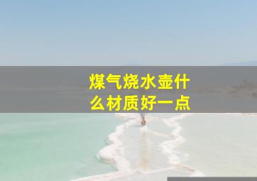 煤气烧水壶什么材质好一点