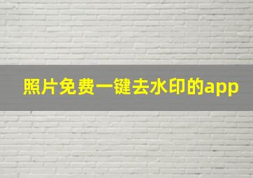 照片免费一键去水印的app