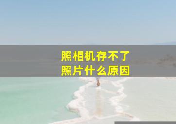 照相机存不了照片什么原因