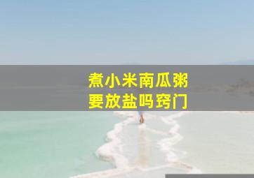 煮小米南瓜粥要放盐吗窍门