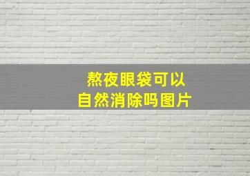 熬夜眼袋可以自然消除吗图片