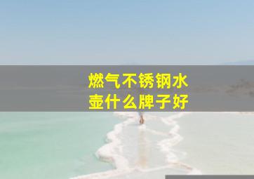 燃气不锈钢水壶什么牌子好