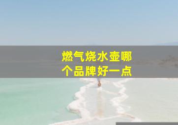 燃气烧水壶哪个品牌好一点