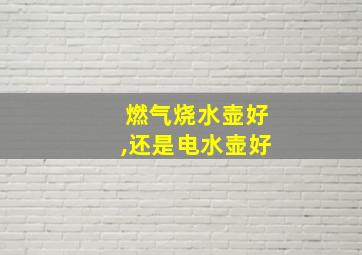 燃气烧水壶好,还是电水壶好