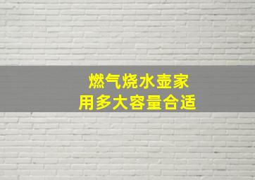 燃气烧水壶家用多大容量合适