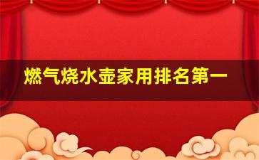 燃气烧水壶家用排名第一