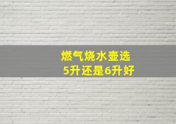 燃气烧水壶选5升还是6升好