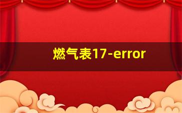 燃气表17-error