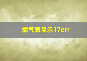 燃气表显示17err