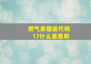 燃气表错误代码17什么意思啊