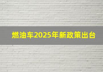 燃油车2025年新政策出台