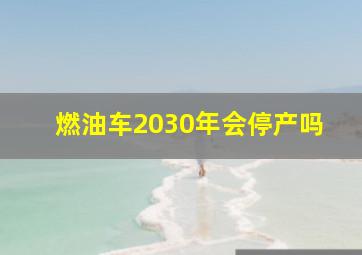 燃油车2030年会停产吗