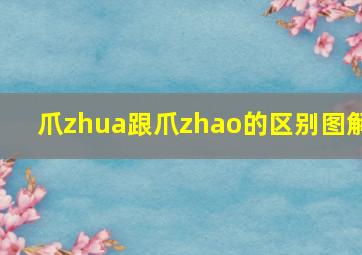 爪zhua跟爪zhao的区别图解