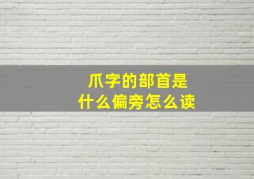 爪字的部首是什么偏旁怎么读