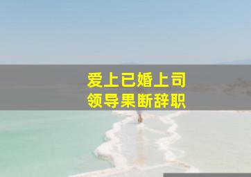 爱上已婚上司领导果断辞职