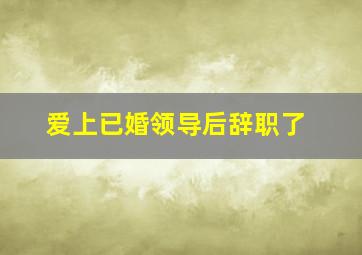 爱上已婚领导后辞职了