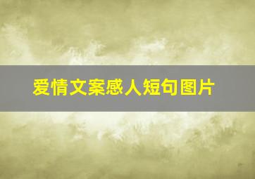 爱情文案感人短句图片