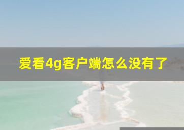 爱看4g客户端怎么没有了