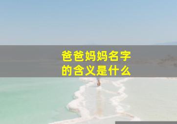 爸爸妈妈名字的含义是什么