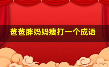 爸爸胖妈妈瘦打一个成语