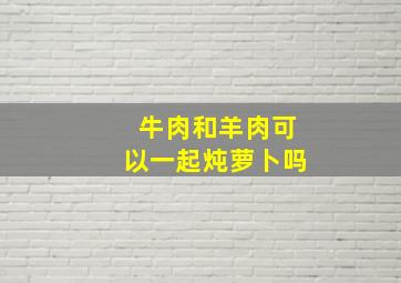 牛肉和羊肉可以一起炖萝卜吗