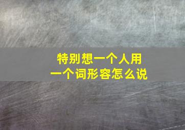 特别想一个人用一个词形容怎么说