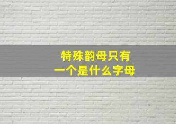 特殊韵母只有一个是什么字母