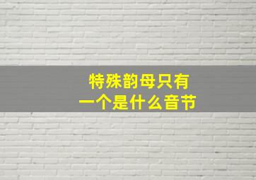 特殊韵母只有一个是什么音节