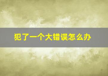 犯了一个大错误怎么办