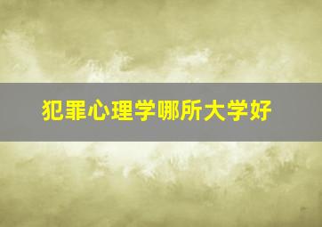 犯罪心理学哪所大学好