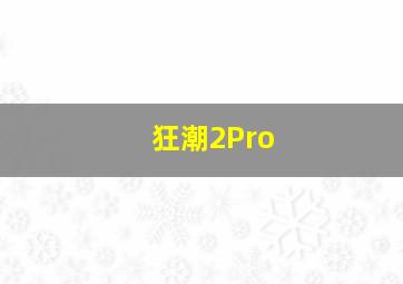 狂潮2Pro