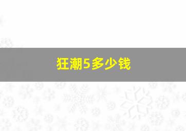 狂潮5多少钱