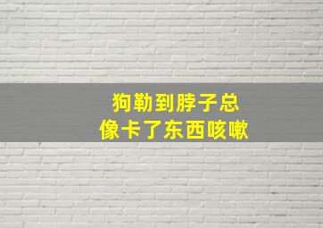 狗勒到脖子总像卡了东西咳嗽