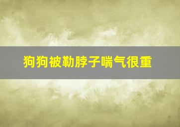 狗狗被勒脖子喘气很重