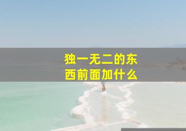 独一无二的东西前面加什么