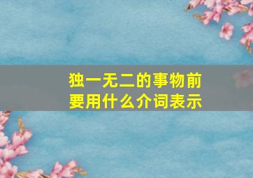 独一无二的事物前要用什么介词表示