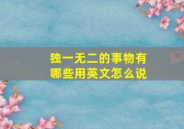 独一无二的事物有哪些用英文怎么说