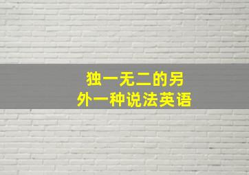 独一无二的另外一种说法英语