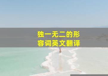 独一无二的形容词英文翻译