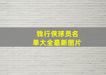 独行侠球员名单大全最新图片