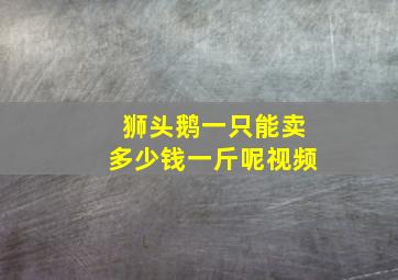 狮头鹅一只能卖多少钱一斤呢视频