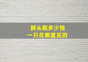 狮头鹅多少钱一只在哪里买的