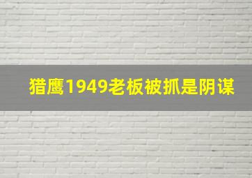 猎鹰1949老板被抓是阴谋