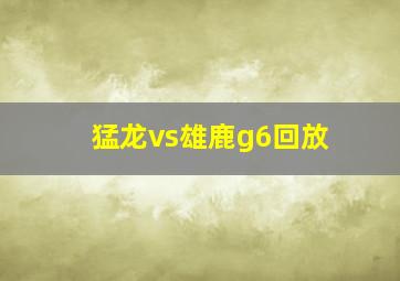 猛龙vs雄鹿g6回放