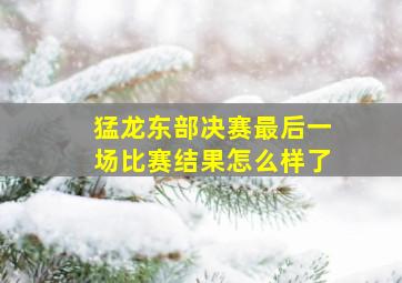 猛龙东部决赛最后一场比赛结果怎么样了