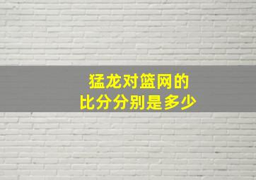 猛龙对篮网的比分分别是多少