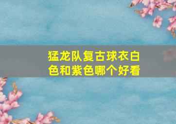 猛龙队复古球衣白色和紫色哪个好看