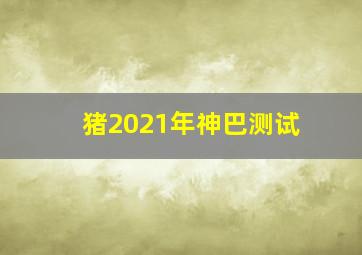 猪2021年神巴测试