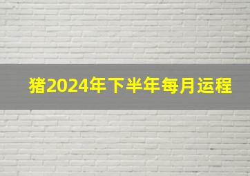 猪2024年下半年每月运程