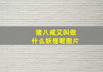 猪八戒又叫做什么妖怪呢图片